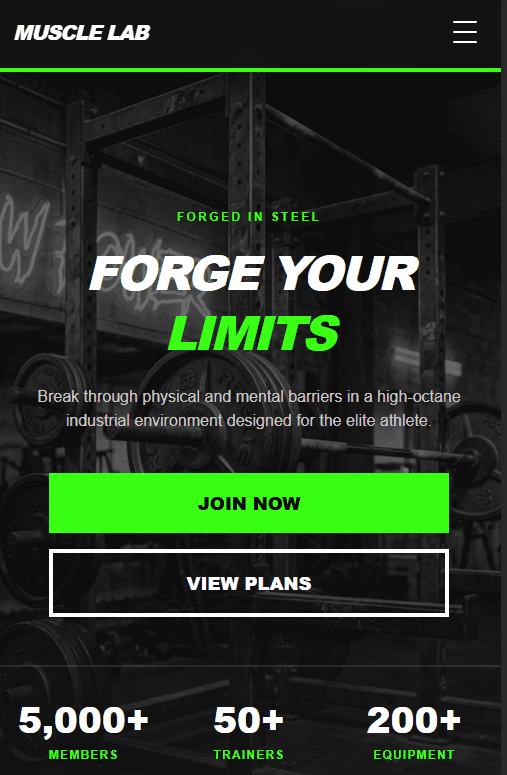 Gym web project preview